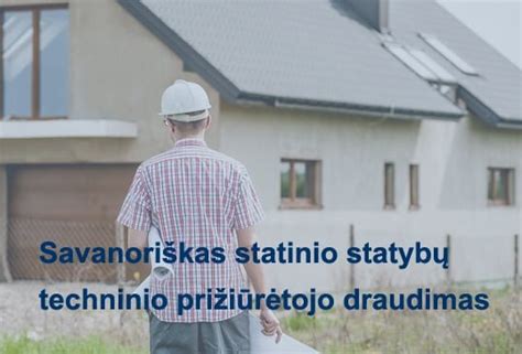 Schema: statinio techninio prižiūrėtojo atsakomybės