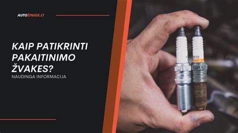 Infografika: kaip veikia dyzelinių variklių pakaitinimo žvakės