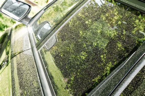 Nuotrauka: Vandens kondensatas automobilio žibinte