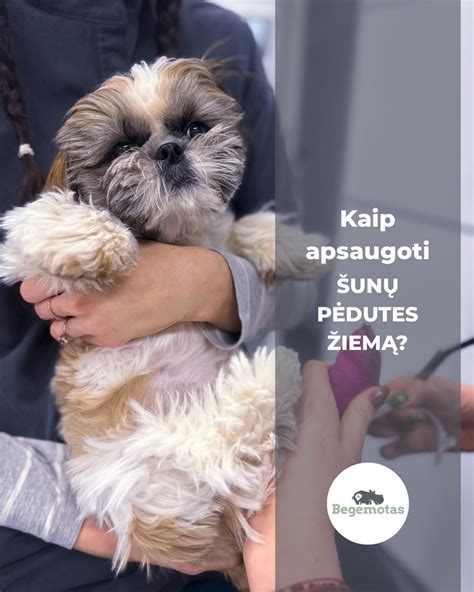 Sugadinto šalmo vizualizacija, demonstruojanti įtrūkimus ar didelius įbrėžimus
