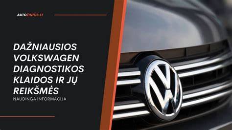 Infografika: Vartų gedimų diagnostikos žingsniai