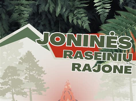Infografika: Avarijų schema Raseinių rajone