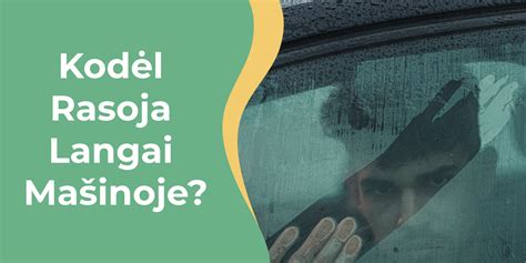 Palyginimas: automobilio langai su užuolaidėlėmis ir tamsinti plėvele