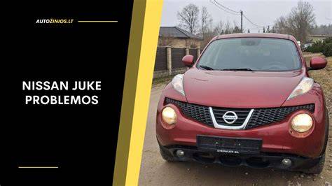 Infografika: Žeminių ratų įtaka Nissan Juke stabilumui ir prošvaicai
